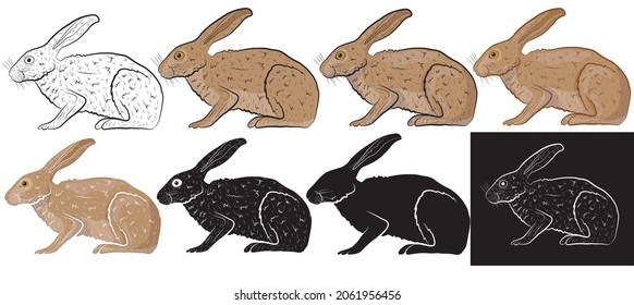 Set Vector illustration of a European hare isolated on a white background. Vector illustration.