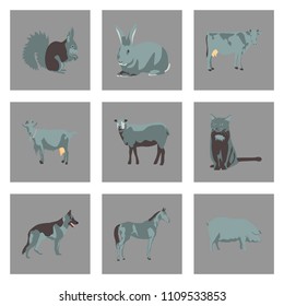 Set of vector illustration in flat style animals