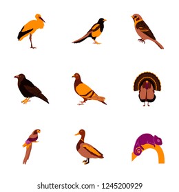 Set of vector illustration in flat style birds
