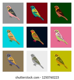 Set of vector illustration in flat style sparrow
