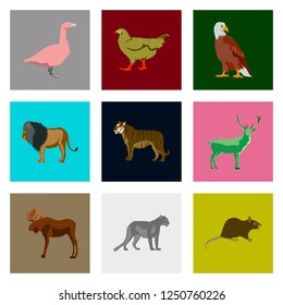 Set of vector illustration in flat style animals