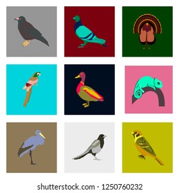 Set of vector illustration in flat style birds