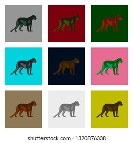 Set of vector illustration in flat style Panthers