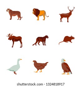 Set of vector illustration in flat style animals