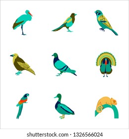 Set of vector illustration in flat style birds