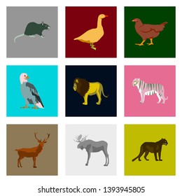 Set of vector illustration in flat style animals