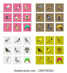 Set of vector illustration in flat style birds