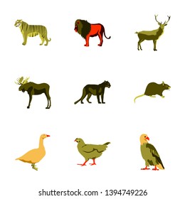 Set of vector illustration in flat style animals