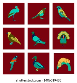 Set of vector illustration in flat style birds