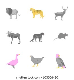 Set of vector illustration in flat style animals
