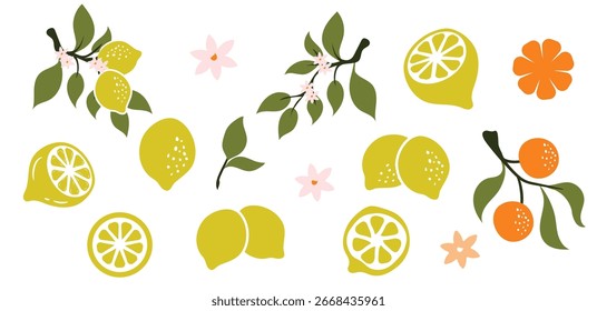 Conjunto de Ilustración vectorial de un LIMÓN fresco con una hoja abierta y verde aislada. la textura del LIMÓN es clara. La ilustración sobre fondo blanco.