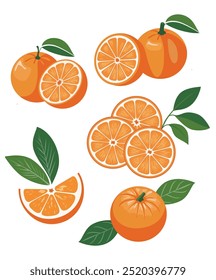 Conjunto de ilustração vetorial de uma laranja fresca com uma metade cortada aberta e folha verde isolada. a textura da laranja é claramente. A ilustração no fundo branco.