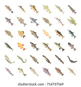 Set vector illustration of freshwater fish. Flat elements on white background.