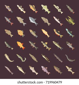 Set vector illustration of freshwater fish. Flat elements on white background.