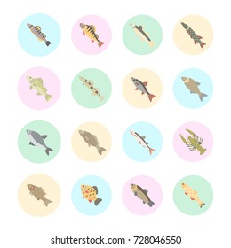 Set vector illustration of freshwater fish. Flat elements on white background.