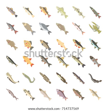 Set vector illustration of freshwater fish. Flat elements on white background.