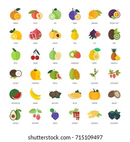 Set vector illustration of fruits. Flat elements on white background