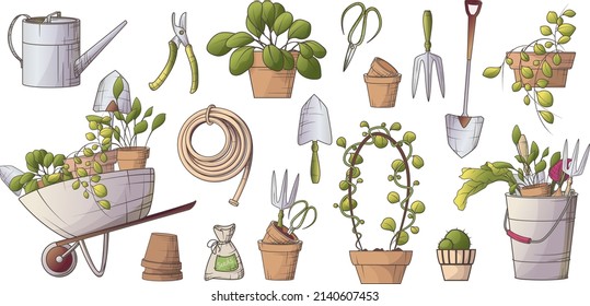 Establecer con ilustración vectorial de elementos de jardinería: herramientas, carrito, lata de riego, plantas domésticas, manguera, canasta, ollas. Jardín interior, concepto de jardinería. Para el afiche, portada, tarjeta, decoración de la tienda de jardinería.