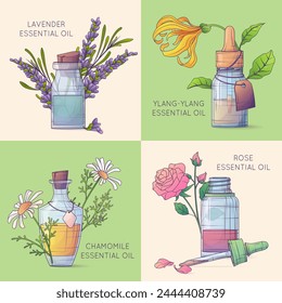 Set of vector illustration of glass bottles with floral essential oils. Lavender, rose, ylang ylang, camomile oils. Cosmetic, perfumery and aromatherapy concept.