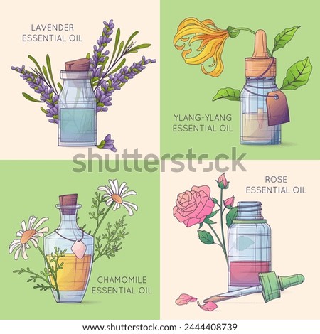 Set of vector illustration of glass bottles with floral essential oils. Lavender, rose, ylang ylang, camomile oils. Cosmetic, perfumery and aromatherapy concept.