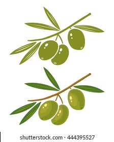 Set vector illustration green  olives 