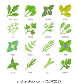 Set vector illustration of greenery. Flat elements on white background.