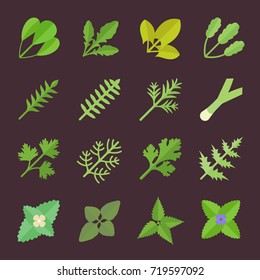 Set vector illustration of greenery. Flat elements on white background.