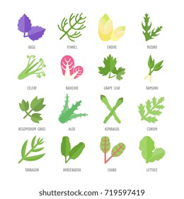 Set vector illustration of greenery. Flat elements on white background.
