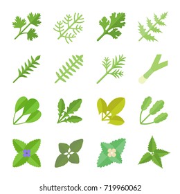 Set vector illustration of greenery. Flat elements on white background.
