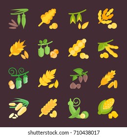 Set vector illustration of groats. Flat elements on dark background
