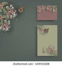 Set vector illustration of hand painted flowers Rangoon creeper, colorful and butterfly background.