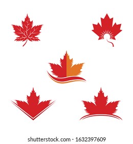 Set of vector illustration icon of autumn red and orange maple leaves with white background