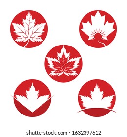 Set of vector illustration icon of autumn red and orange maple leaves with white background