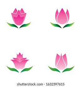 Set of vector illustration icon of beautiful tulips with white background