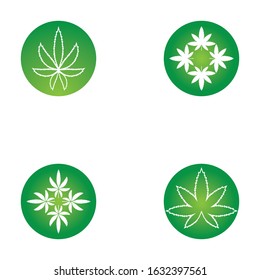 Set of vector illustration icon of cannabis leaves green with white background