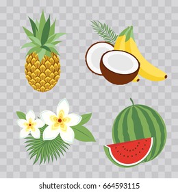 Set of Vector Illustration Icons tropical fruits with leaves and flowers. Set of vector trendy illustrations isolated on transparent checkered