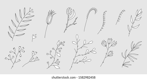 Set of vector illustration with the image of decorative flowers, branches and herbs. Great design for any purpose.