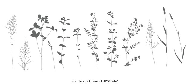Set of vector illustration with the image of decorative flowers, branches and herbs. Great design for any purpose.