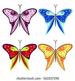 Set of vector illustration of insect, colorful butterflies, isolated on the white background. Graphic illustration.