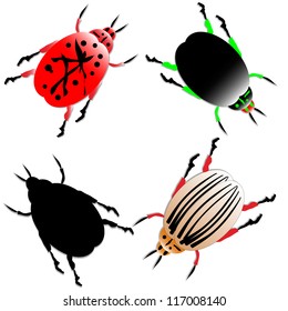 Set of vector illustration of insects on white background