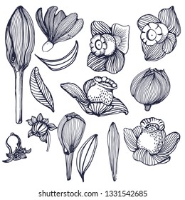set vector illustration isolated on white background, hand drawing