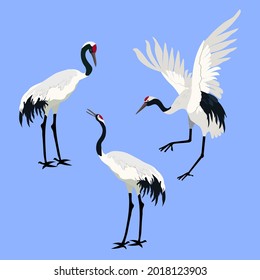 Set of Vector illustration with Japanese cranes on an isolated background. Template for a postcard, poster, print, emblem.