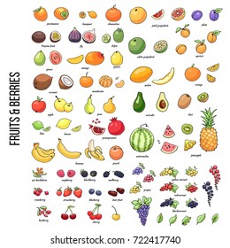 Set of vector illustration of juicy isolated outline colorful fruits and berries.