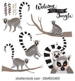 Set of vector illustration of lemurs. Lemur with baby, lemur on a tree, jungle lianas. Welcome to the jungle.