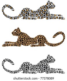 Set of vector illustration of leopards