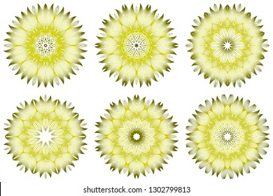 Set of Vector Illustration. Modern Decorative Floral Mandala. Hand Drawn Background. Islam, Arabic, Indian, Ottoman Motifs. Green olive color.