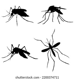 Set Vector illustration of mosquito isolated on white background 