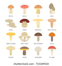 Set vector illustration of mushrooms. Flat elements on white background