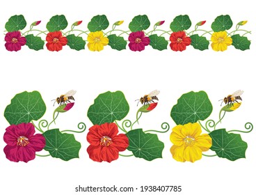 set of the vector illustration with nasturtium and bee