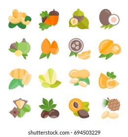 Set vector illustration of nuts. Flat elements on white background
